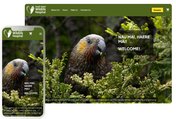South Island Wildlife Hospital
